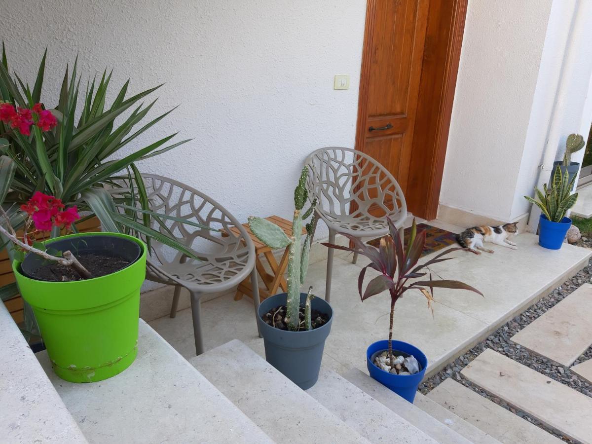 Appartamento D60 *